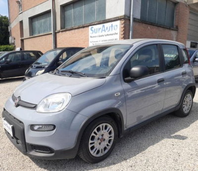 Fiat Panda 1.0 firefly hybrid s&s 70cv 5p.ti (2)