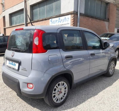 Fiat Panda 1.0 firefly hybrid s&s 70cv 5p.ti (6)