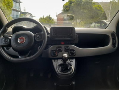 Fiat Panda 1.0 firefly hybrid s&s 70cv 5p.ti (8)