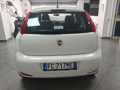Fiat Punto 1.2 8V 3 porte Street (3)