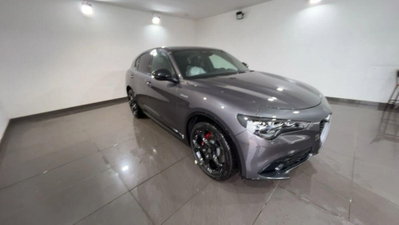 Alfa Romeo Stelvio Stelvio 2.2 Turbodiesel 210 CV AT8 Q4 Lusso (3)