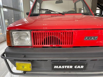 Fiat Panda 30 (7)