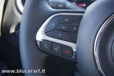 Jeep Renegade 1.6 Mjt 130 CV Limited (16)
