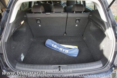 Fiat Tipo Tipo 1.3 Mjt S&S 5 porte Business (11)