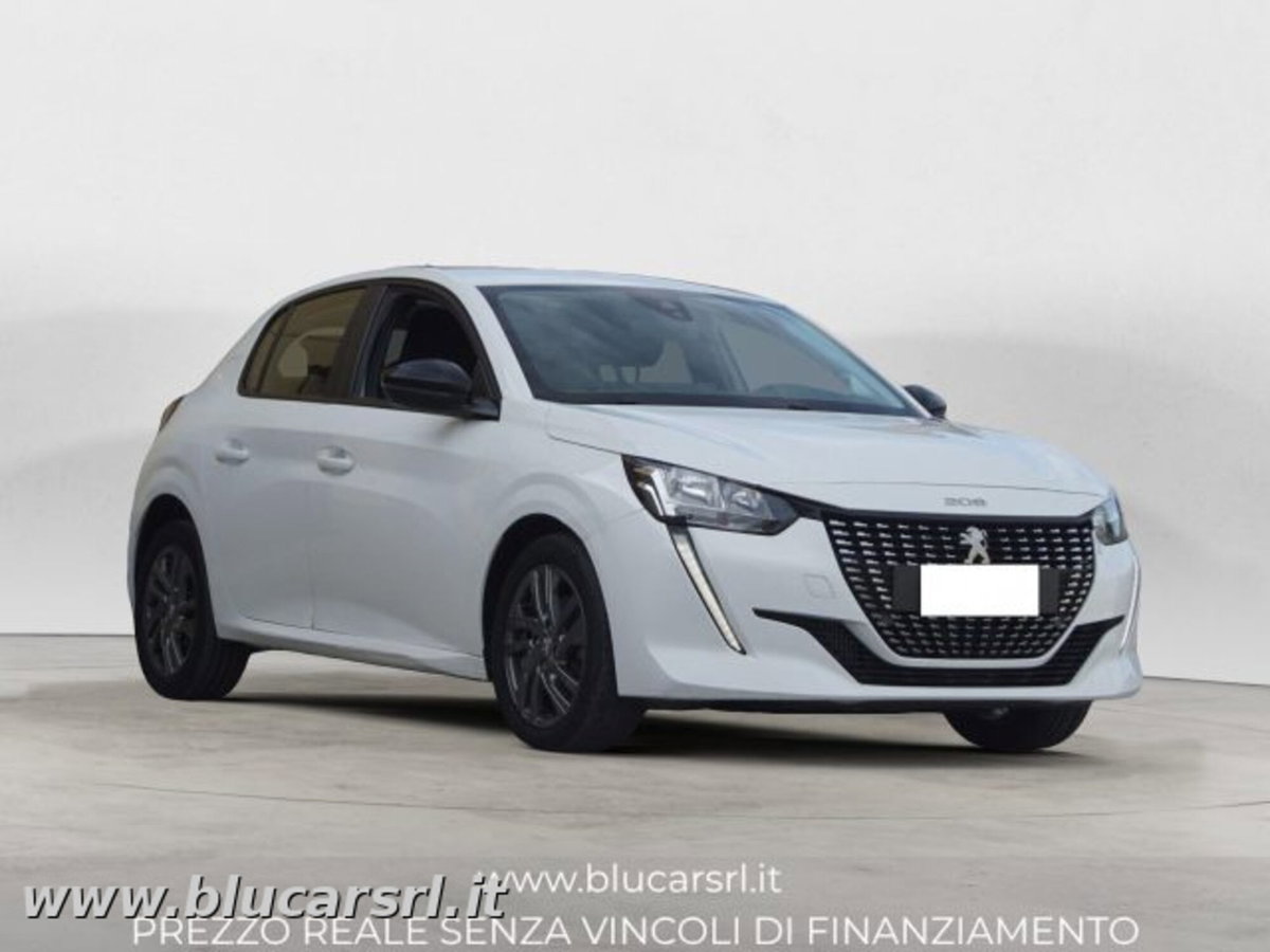 Peugeot 208 BlueHDi 100 Stop&Start 5 porte Active Pack (2)