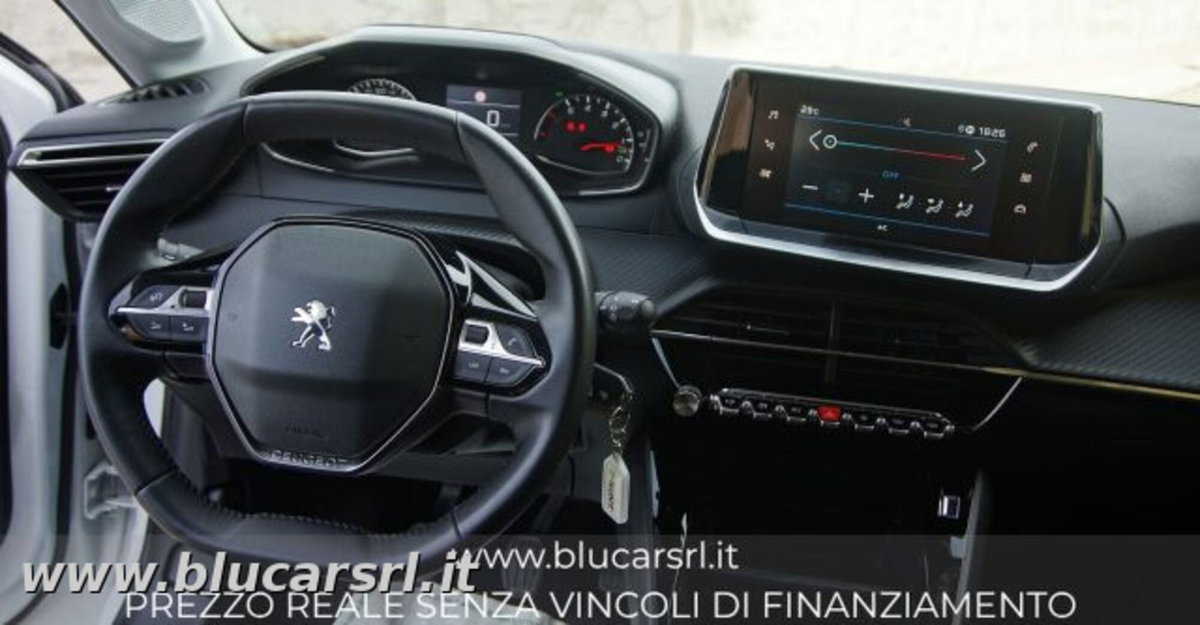 Peugeot 208 BlueHDi 100 Stop&Start 5 porte Active Pack (7)
