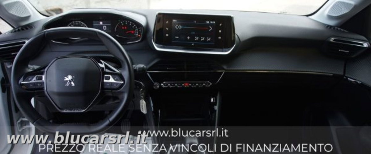 Peugeot 208 BlueHDi 100 Stop&Start 5 porte Active Pack (8)