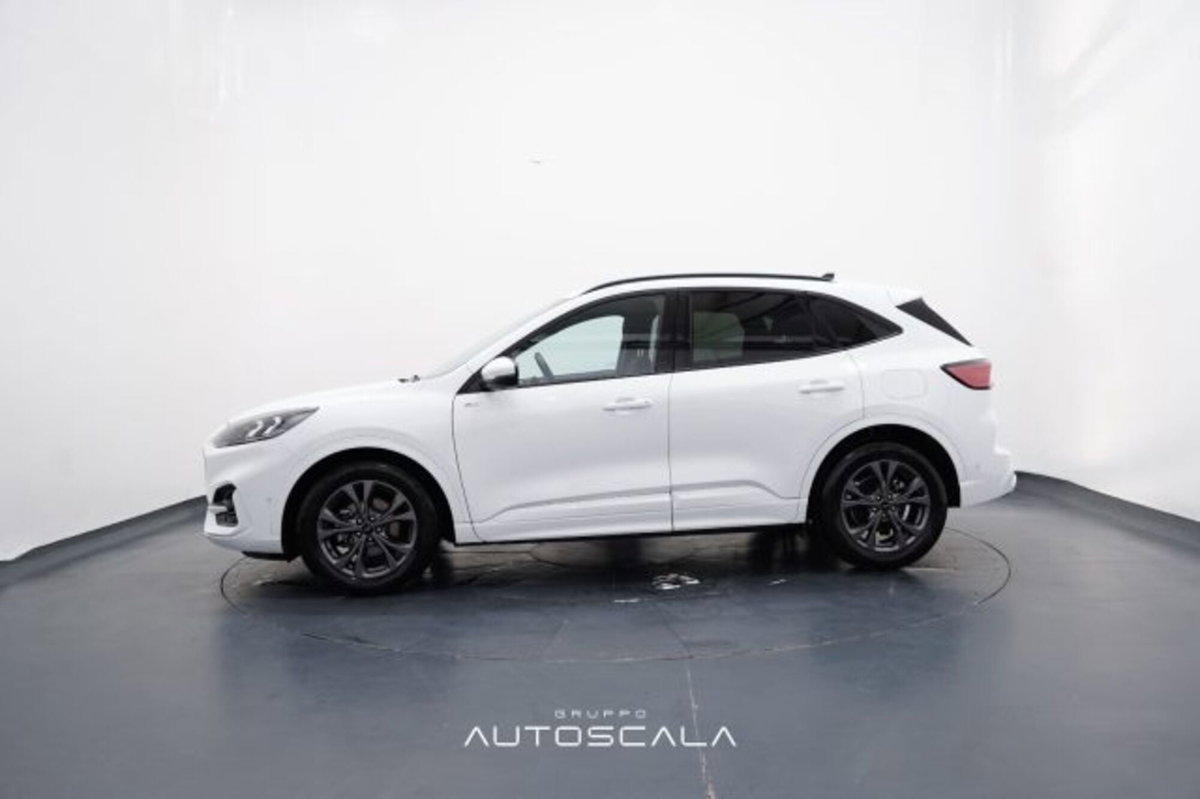 Ford Kuga 2.0 EcoBlue 120 CV aut. 2WD ST-Line X (3)