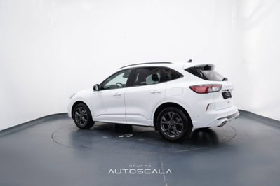 Ford Kuga 2.0 EcoBlue 120 CV aut. 2WD ST-Line X (4)