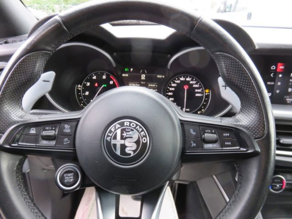 Alfa Romeo Stelvio Stelvio 2.0 Turbo 280 CV AT8 Q4 Veloce (8)