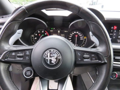 Alfa Romeo Stelvio Stelvio 2.0 Turbo 280 CV AT8 Q4 Veloce (8)
