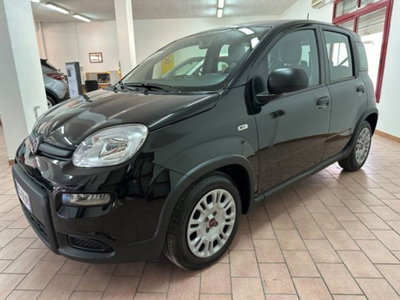 Fiat Panda 1.0 firefly hybrid s&s 70cv 5p.ti usata