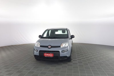 Fiat Panda 1.0 FireFly S&S Hybrid City Cross usata