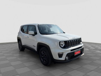 Jeep Renegade 1.0 T3 Business (7)
