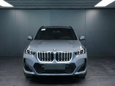 BMW X1 xDrive 20d Msport (2)
