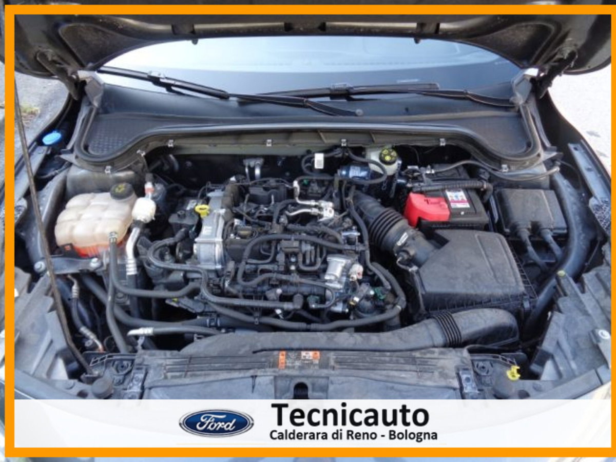 Ford Focus 1.0 EcoBoost Hybrid 125 CV Power. 5p. ST-Line Style (14)