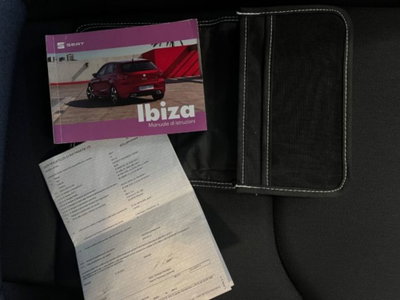 SEAT Ibiza 1.0 EcoTSI 110 CV DSG 5 porte FR (19)
