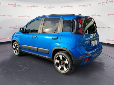 Fiat Panda Cross Cross 1.0 FireFly S&S Hybrid (4)