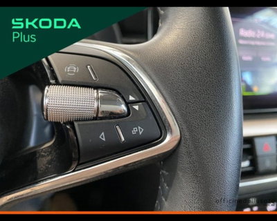 Skoda Kamiq 1.0 G-Tec Style (12)
