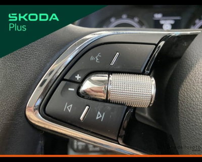 Skoda Kamiq 1.0 G-Tec Style (13)