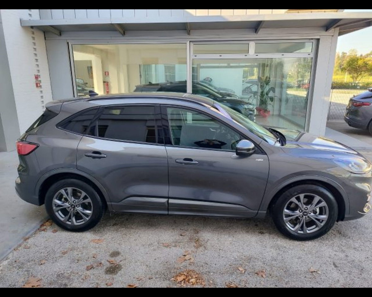 Ford Kuga 1.5 EcoBoost 150 CV 2WD ST-Line (4)