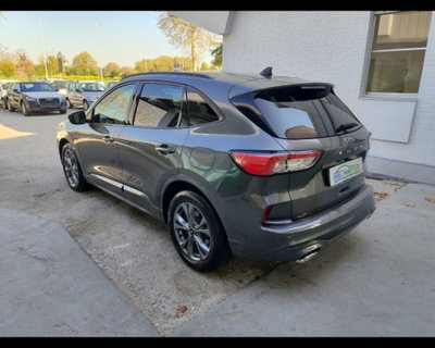 Ford Kuga 1.5 EcoBoost 150 CV 2WD ST-Line (6)