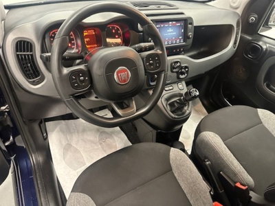 Fiat Panda 1.0 firefly hybrid s&s 70cv 5p.ti (7)