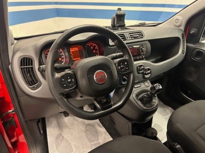 Fiat Panda Cross 1.0 firefly hybrid Cross s&s 70cv 5p.ti (8)