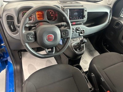 Fiat Panda Cross 1.0 firefly hybrid Cross s&s 70cv 5p.ti (7)