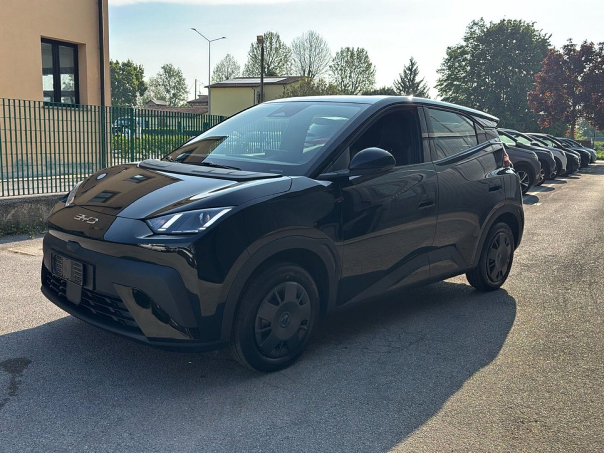 Byd Dolphin Surf 30 kWh Active (2)