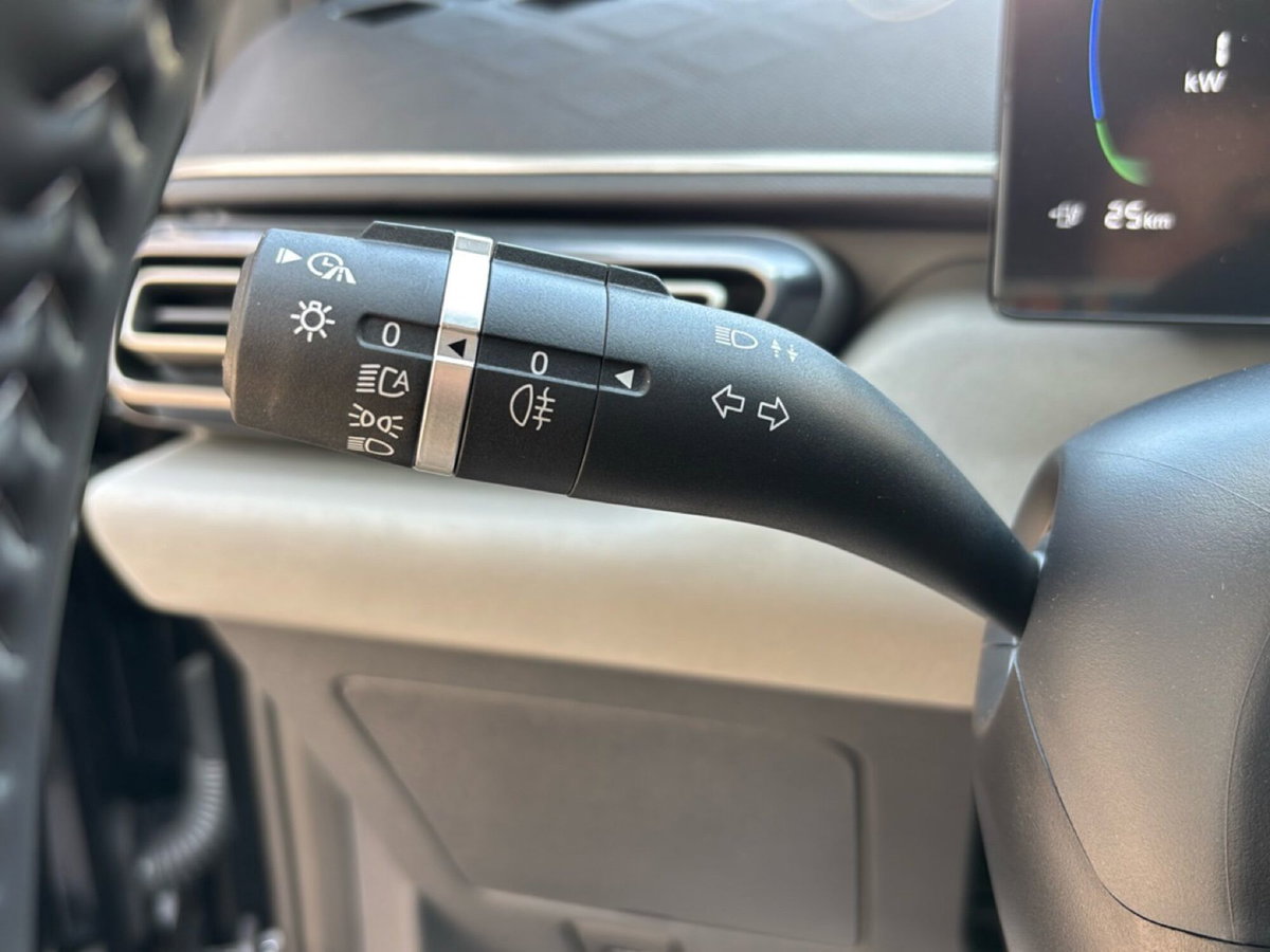 Byd Dolphin Surf 30 kWh Active (20)
