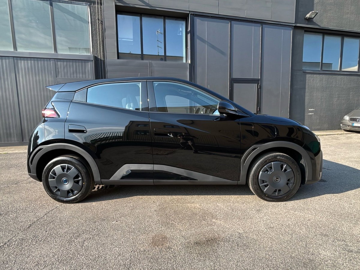 Byd Dolphin Surf 30 kWh Active (4)