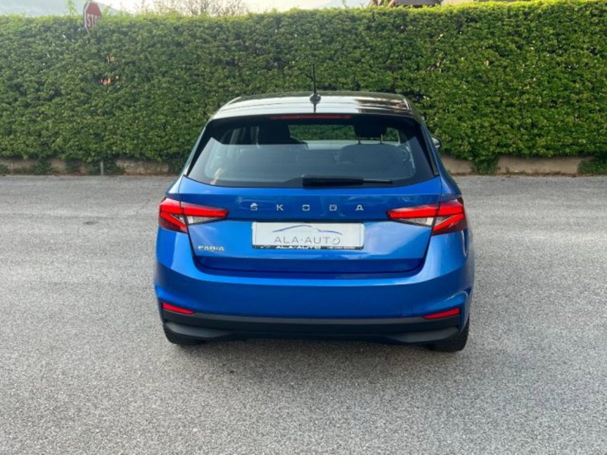 Skoda Fabia 1.0 tsi evo Style 110cv dsg (5)