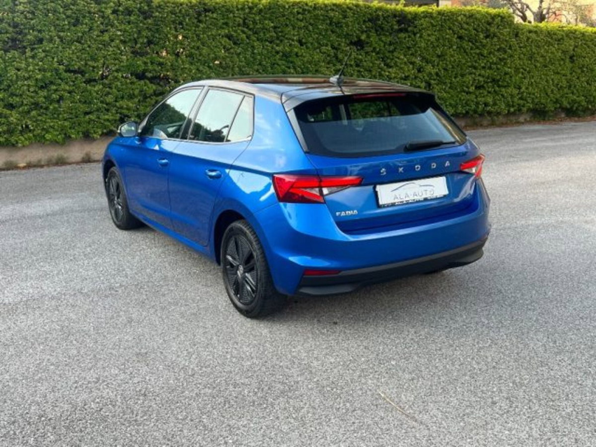 Skoda Fabia 1.0 tsi evo Style 110cv dsg (6)