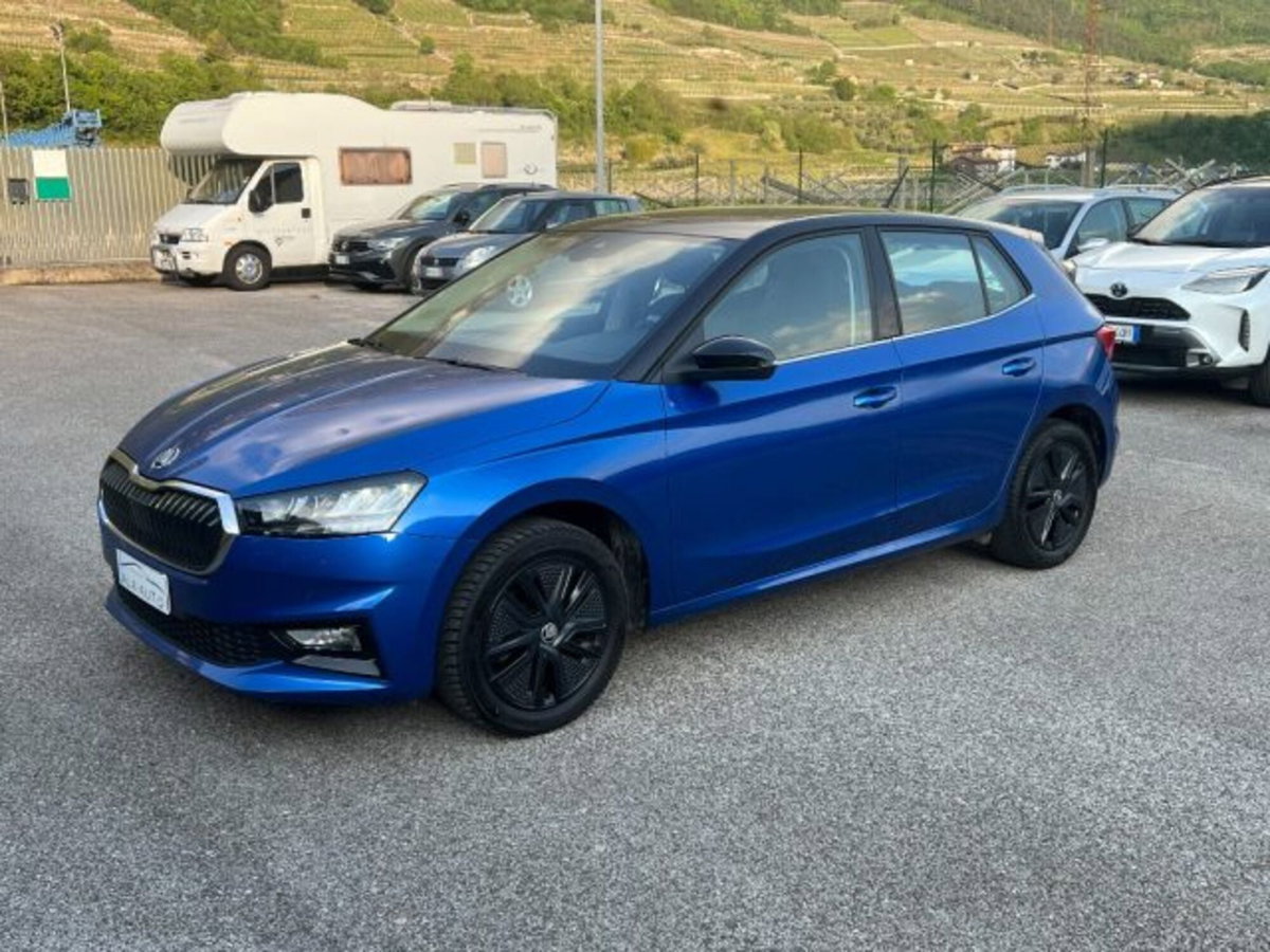 Skoda Fabia 1.0 tsi evo Style 110cv dsg (8)