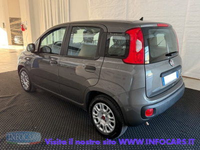 Fiat Panda 1.0 firefly hybrid s&s 70cv 5p.ti (2)