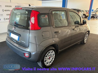Fiat Panda 1.0 firefly hybrid s&s 70cv 5p.ti (4)