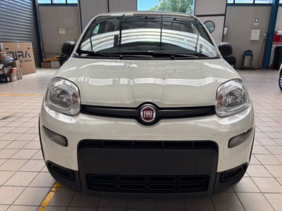 Fiat Panda 1.0 firefly hybrid s&s 70cv 5p.ti usata