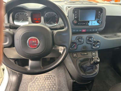 Fiat Panda 1.0 firefly hybrid s&s 70cv 5p.ti (10)