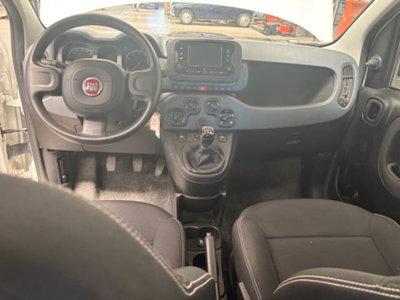 Fiat Panda 1.0 firefly hybrid s&s 70cv 5p.ti (12)