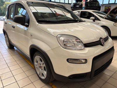 Fiat Panda 1.0 firefly hybrid s&s 70cv 5p.ti (2)