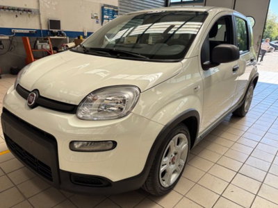 Fiat Panda 1.0 firefly hybrid s&s 70cv 5p.ti (3)