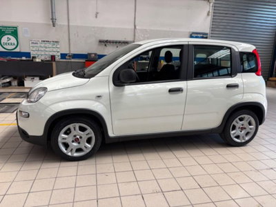 Fiat Panda 1.0 firefly hybrid s&s 70cv 5p.ti (4)