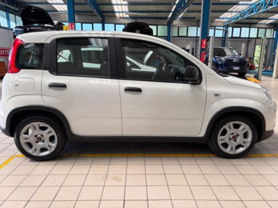 Fiat Panda 1.0 firefly hybrid s&s 70cv 5p.ti (5)