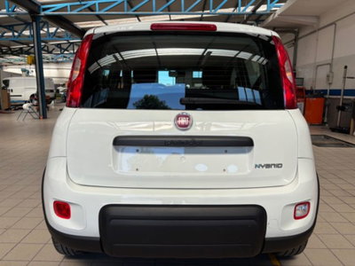 Fiat Panda 1.0 firefly hybrid s&s 70cv 5p.ti (7)