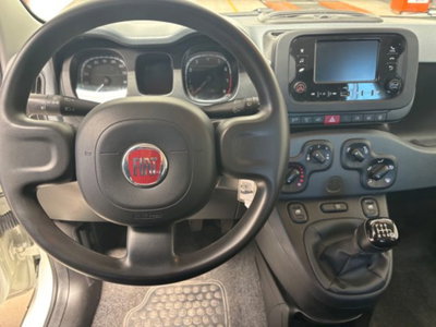 Fiat Panda 1.0 firefly hybrid s&s 70cv 5p.ti (9)