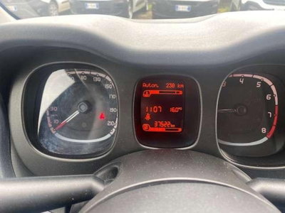 Fiat Panda 1.2 4x4 Van Active 2 posti (9)