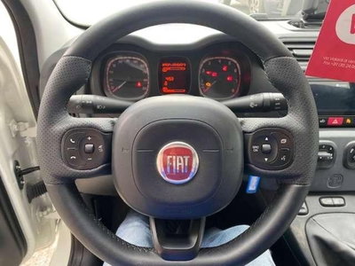 Fiat Panda 1.2 4x4 Van Active 2 posti (19)
