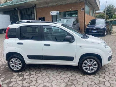 Fiat Panda 1.2 4x4 Van Active 2 posti (2)