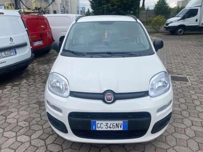 Fiat Panda 1.2 4x4 Van Active 2 posti (3)